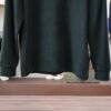 PRDA Crew Neck Jumper  with Chest Logo Detail - Deep Green