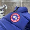 CG Quilted Puffer Gilet - Royal Blue