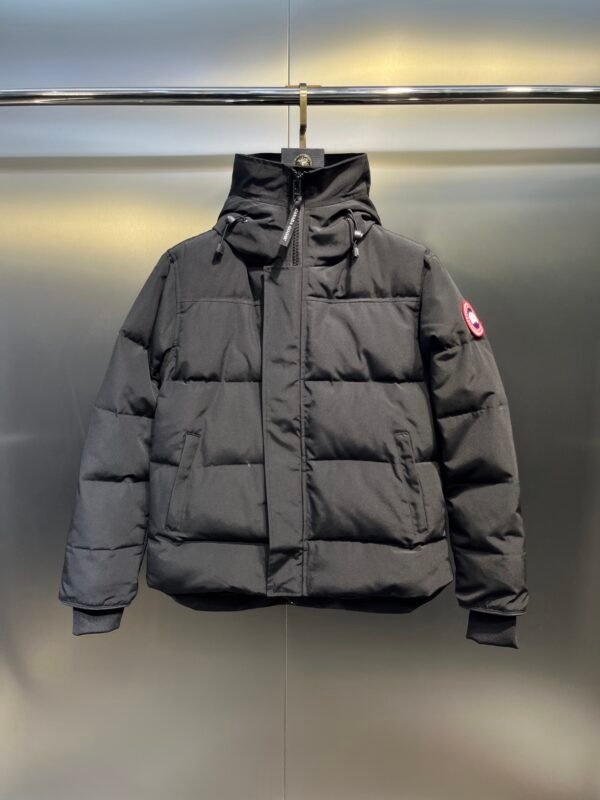 CG Quilted Hooded Puffer Jacket -Black