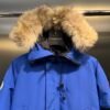 CG Fur-Trim Hooded Jacket with Utility Pockets - Blue